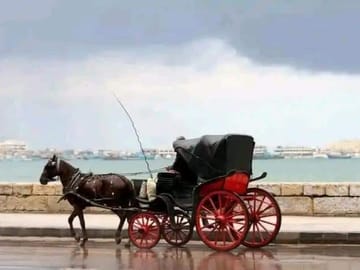 Private 2-Day City Tour of Alexandria from Cairo