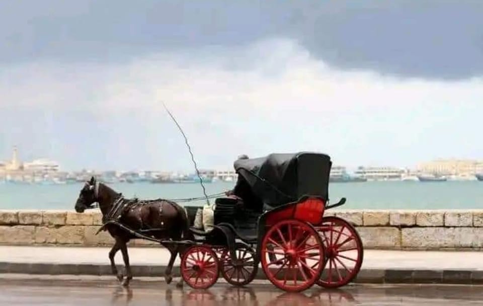 Private 2-Day City Tour of Alexandria from Cairo