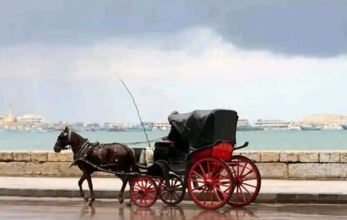 LUXURY Private 2 DAYS DISCOVER ALEXANDRIA FROM CAIRO