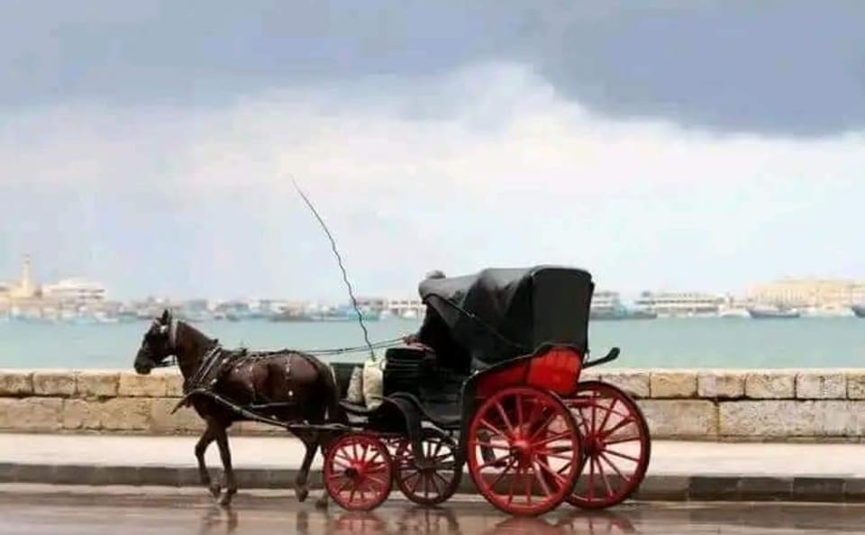Private 2-Day City Tour of Alexandria from Cairo