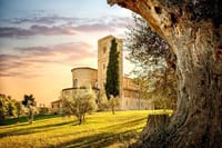 From Rome: Tuscany Hills, Wine Tasting & Montepulciano Lunch 4