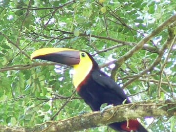 Guided Nature Tour of the Animal Rescue Center in San José