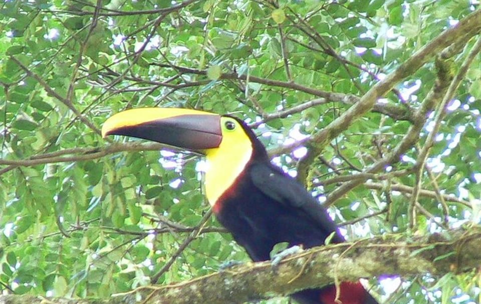 Guided Nature Tour of the Animal Rescue Center in San José