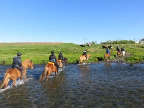 04B - The Sea Horse, photo 5