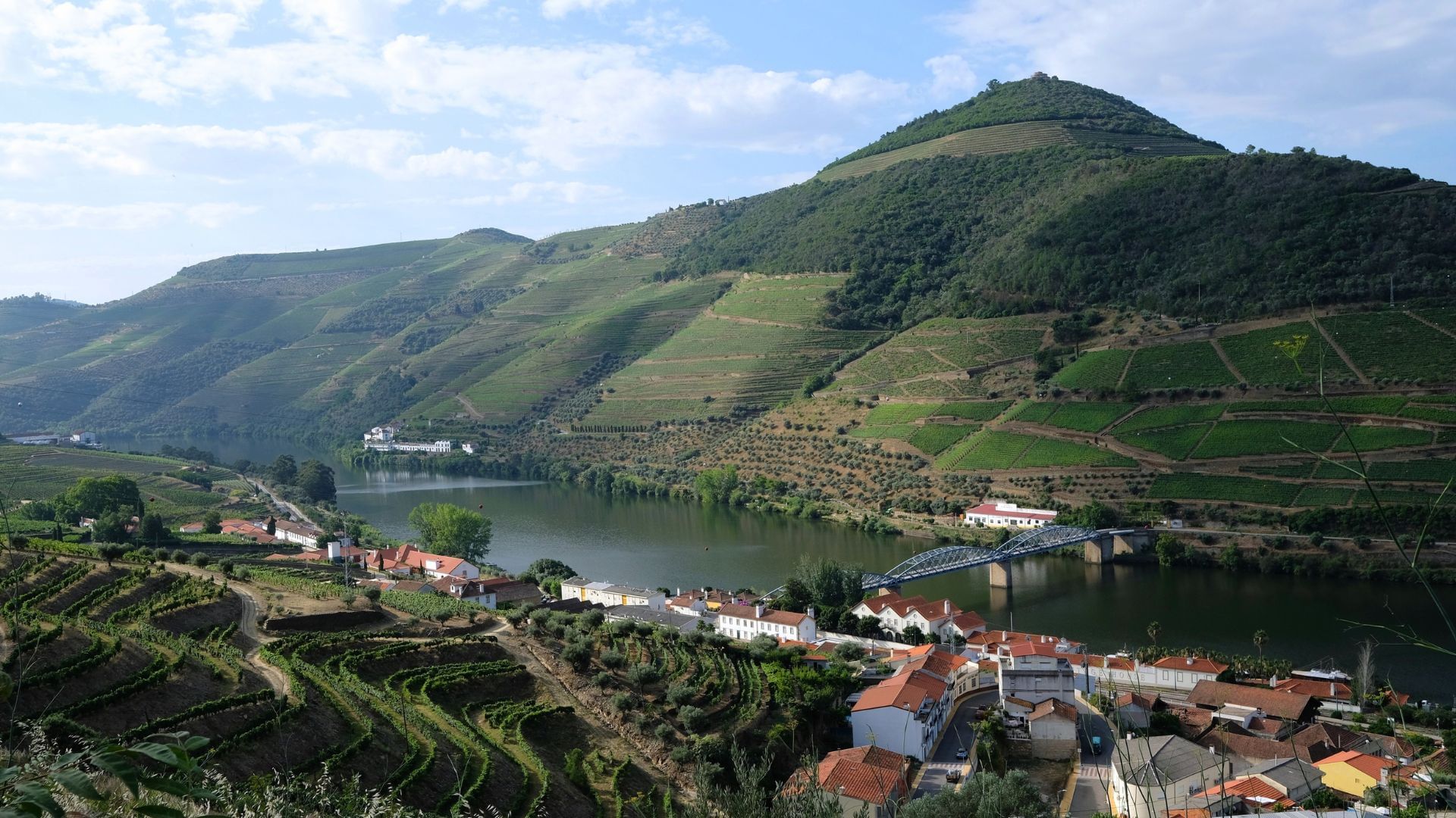Image of the village of Pinhão, its bridge, and the Douro River on Cooltour Oporto's Douro Valley Wine Tour from Porto