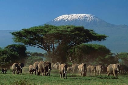 Amboseli National Park Full Day Guided Tour