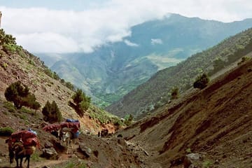 Imlil Hiking and Walking Tour from Marrakech with Lunch