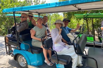 Mekong Delta Day Tour from Ho Chi Minh City
