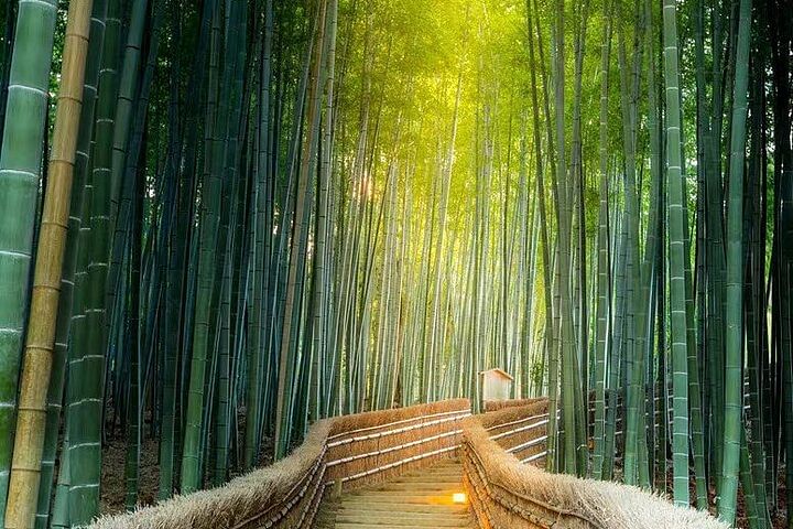 Arashiyama, SanzenIn and Bamboo Forest Day Tour from Kyoto/Osaka