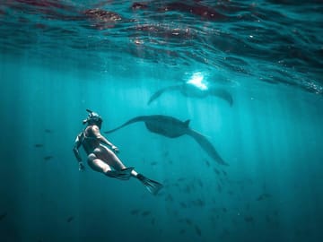 Best of Nusa Penida with Snorkeling Tour