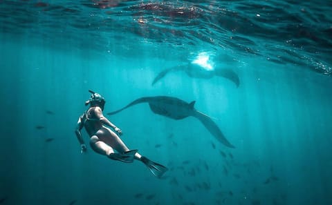 Best of Nusa Penida Holiday Package with Snorkeling: 2 Days 1 Night