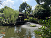 Private Day Tour to Shunde from Guangzhou: Qinghui Garden, Fengjian Water Town 8