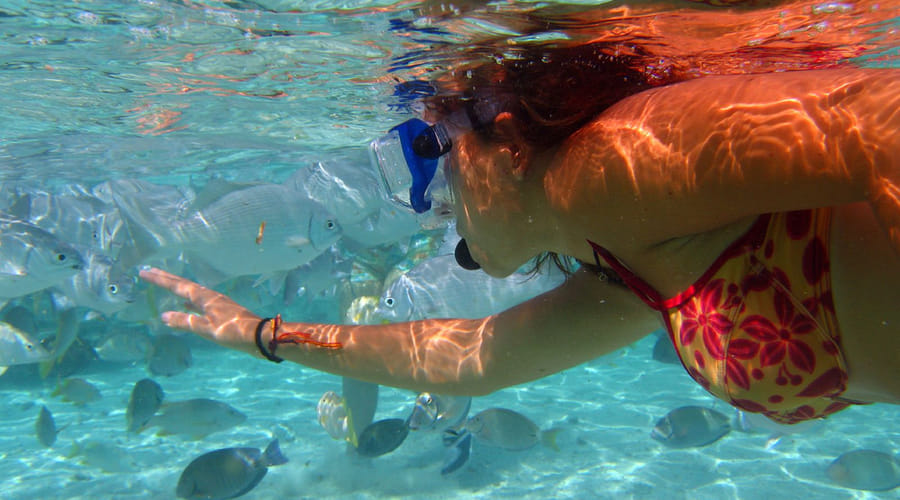 Mini Diving Course for Beginners