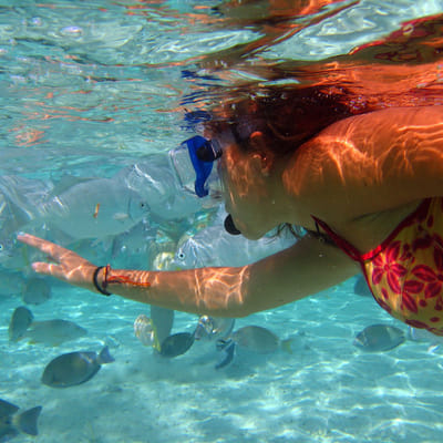 Mini Diving Course for Beginners