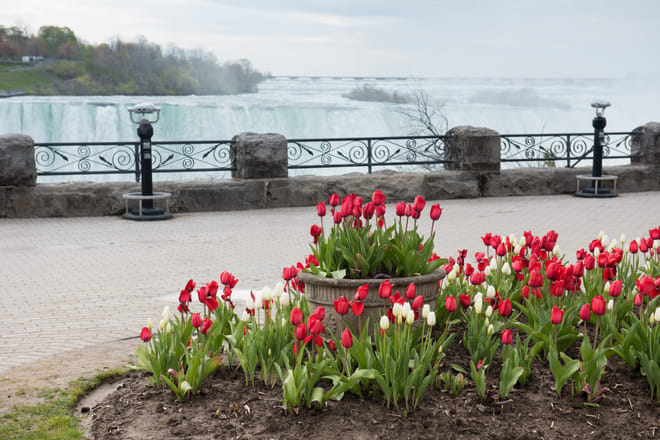 Niagara Falls Private Tour 3