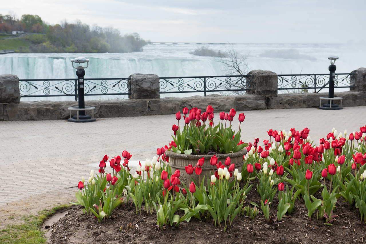 Niagara Falls Private Tour 3