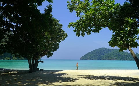 Surin Islands Snorkelling from Phuket