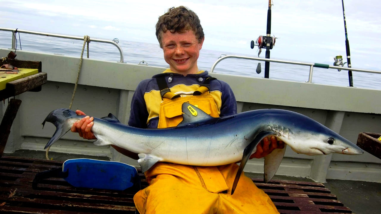 Deep sea angling from Cleggan. Galway. Guided.  7