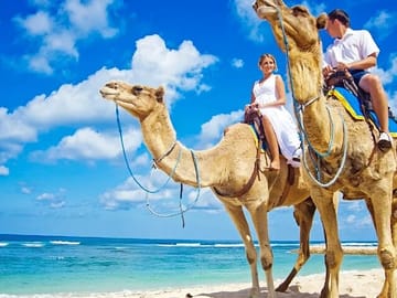 Camel Riding Adventure in the Egyptian Desert from Hurghada