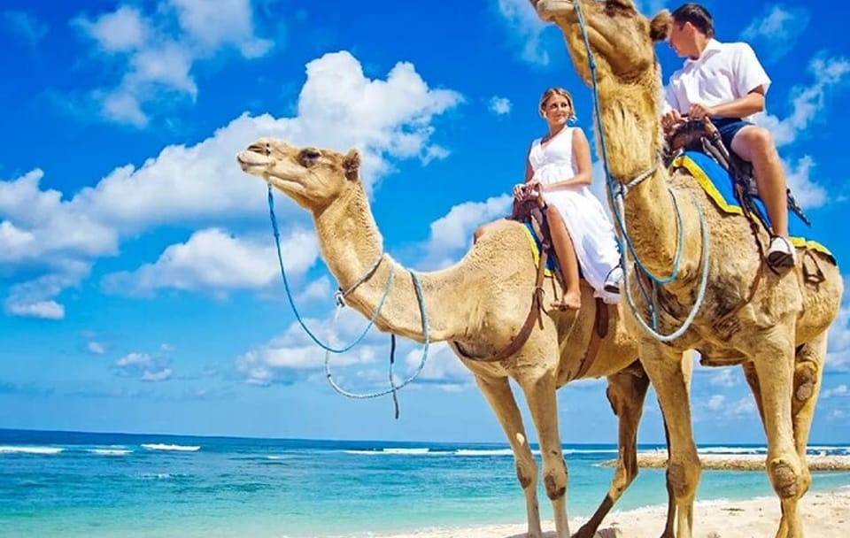 One Hour Camel Riding Adventure With transfer From Hurghada