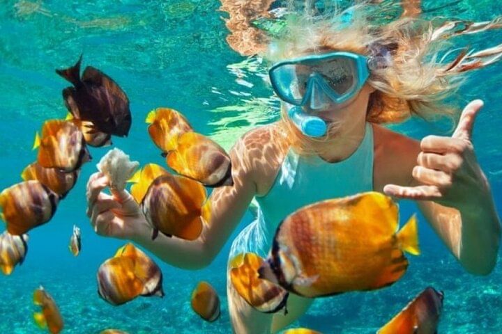 Full-Day Safari Blue Lagoon Adventure In Zanzibar