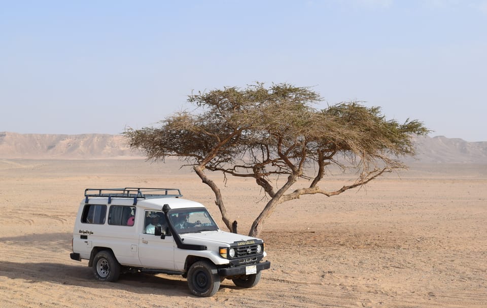 4x4 Desert Safari Adventure in Marsa Alam, Egypt