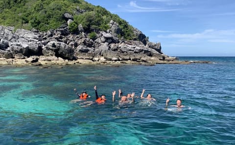 Koh Samui: Pig Island Tour by Speedboat with Snorkeling