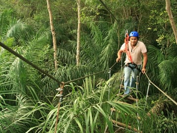 Tree Climbing Adventure in Bonito, Brazil