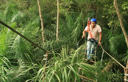 Tree Climbing Adventure in Bonito, Brazil