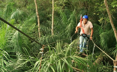 Tree Climbing Adventure in Bonito, Brazil