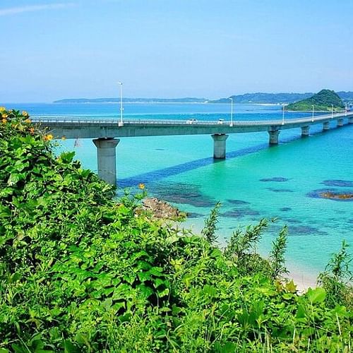 Motonosumi Inari Shrine & Tsunoshima Bridge Day Tour from Fukuoka