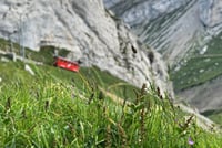 Mt. Pilatus & Lake Lucerne Cruise Small Group Tour | From Zurich 7