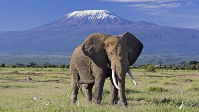 3-Day Maasai Mara Camping Safari photo 6