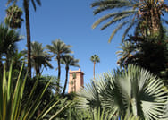 Visit Majorelle Gardens, Museum and Ramparts 5