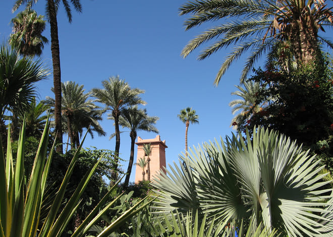 Majorelle Garden, Museum and Ramparts 5