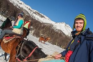 Horseback Riding Tour: Lanin National Park and Mapuche Culture