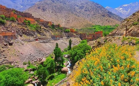 Atlas Mountains :1 day Imlil ,Toubkal Trek
