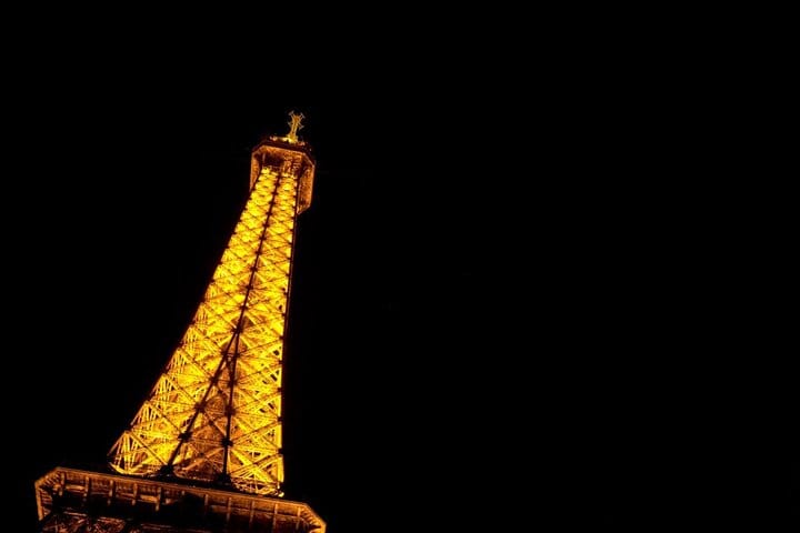 Half-Day Private Tour of Paris with Seine River Cruise 8