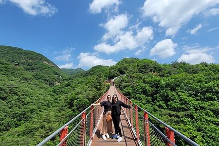 Private DMZ & Suspension Bridge Tour with Authentic Korean BBQ