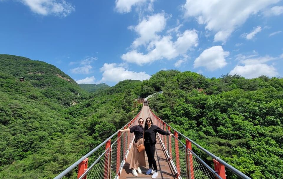 Private DMZ Tour and Korean BBQ Experience in Seoul