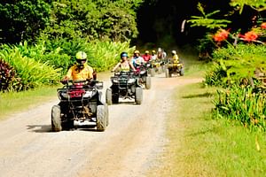 Roatan's Ultimate Thrill: Atv, Monkeys, Sloths, and Ziplines