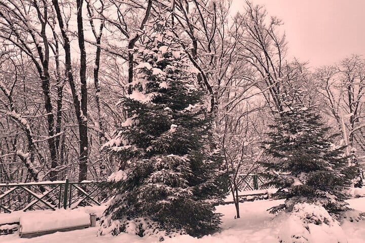 Gabala tour_Gabala_tour_Qabala tour_qebele tour_gebele tour-gebele_tour_VLA Travel_VIP tours