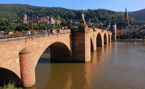 Private Guided Tour of Heidelberg Old Town and Castle