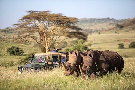 Ol Pejeta, Aberdare & Solio Ranch Safari Adventure in Kenya