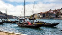 Private Porto Full-Day Tour: Cathedral, Lello and Wine Tastings 1