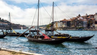 Private Porto Full-Day Tour: Cathedral, Lello and Wine Tastings