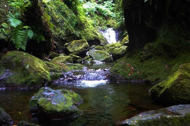 King's Levada / Ribeiro Bonito photo 2