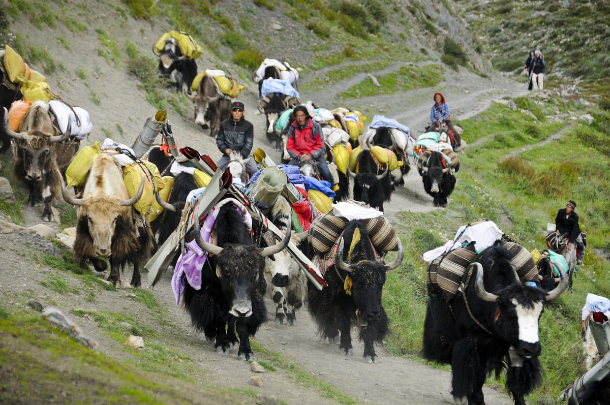 19 Days Mera Peak Climbing & Expedition – One Life-Changing Himalayan Adventure