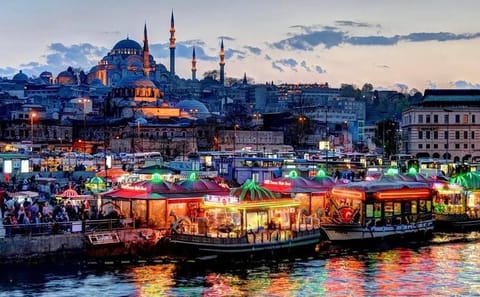 Private 12-Day Cultural Tour of Turkey from Istanbul