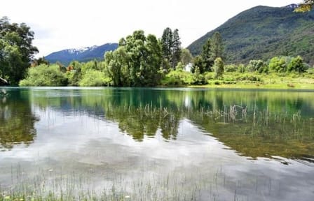 Hua Hum Day Trip from San Martin de los Andes including Lanin National Park